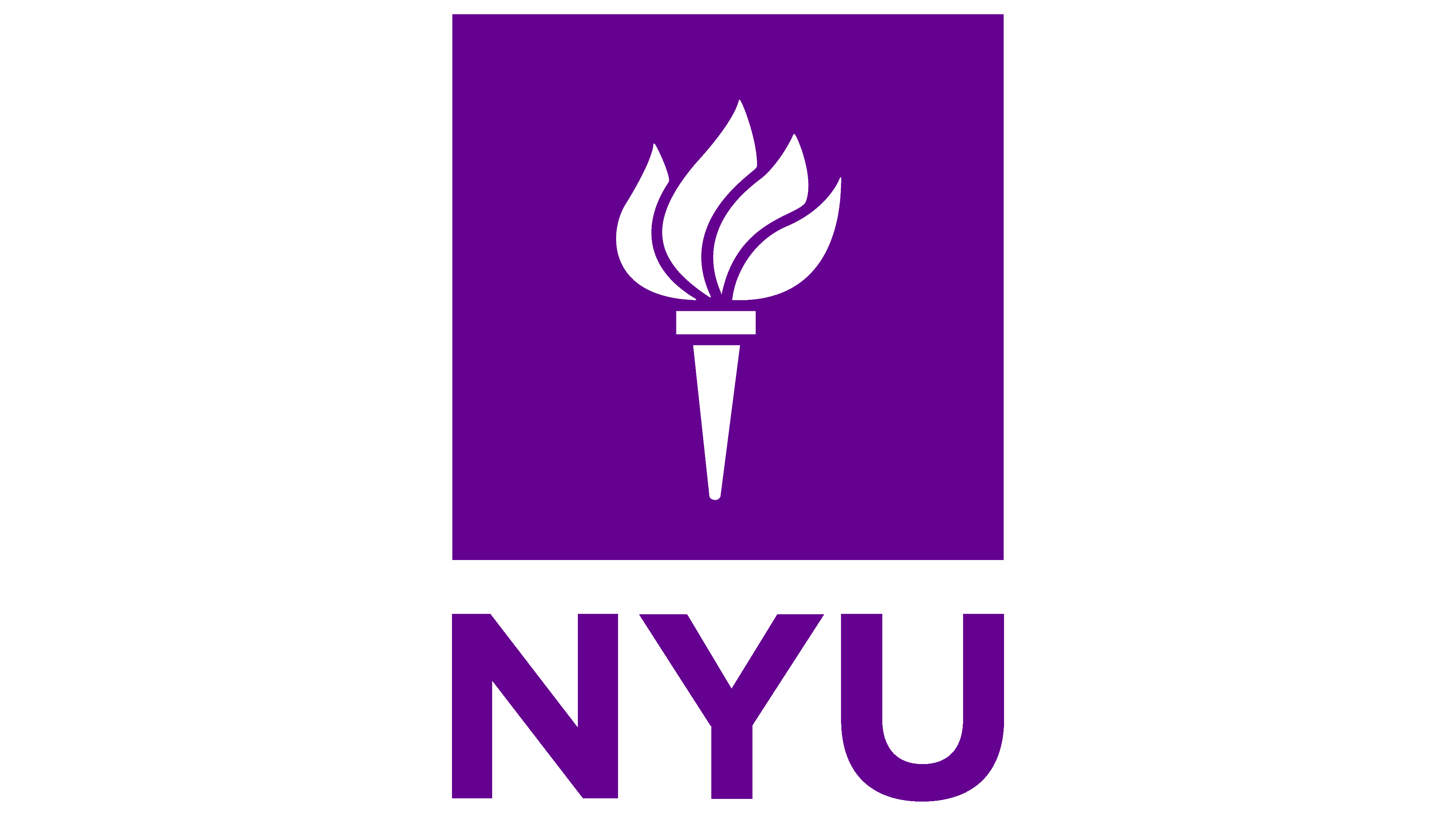 New York University